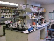 Ambrose Lab